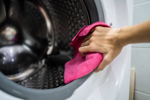 Reliable Blairsville, PA Mold Removal Solutions